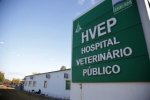 DF abre consulta pública para melhorar atendimento veterinário