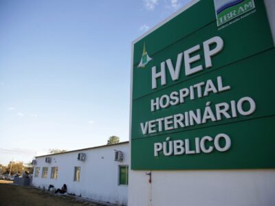 DF abre consulta pública para melhorar atendimento veterinário