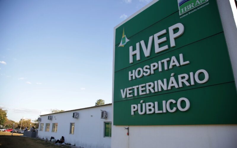 DF abre consulta pública para melhorar atendimento veterinário