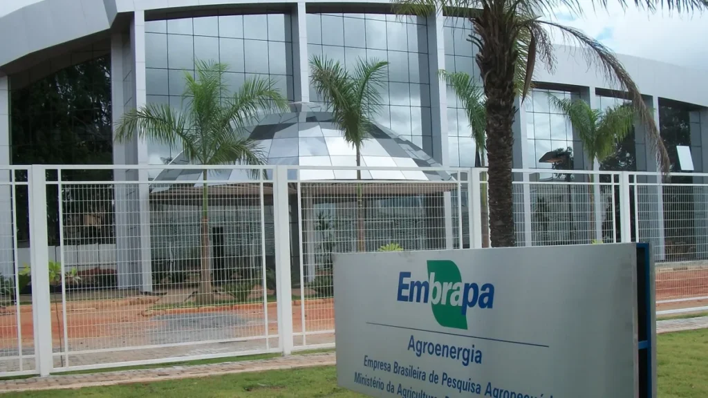 Embrapa avança na produção de carne cultivada em laboratório