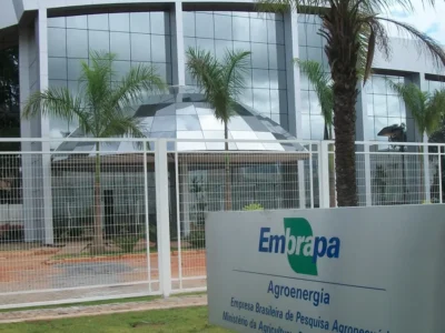 Embrapa avança na produção de carne cultivada em laboratório