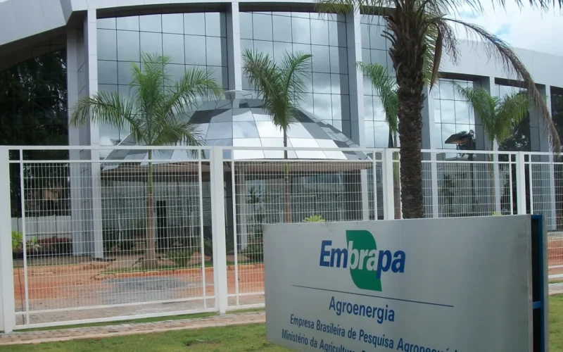 Embrapa avança na produção de carne cultivada em laboratório