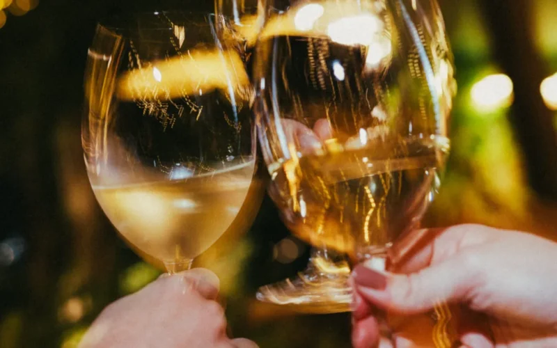 Wine Garden retoma conceito e amplia carta com 150 rótulos