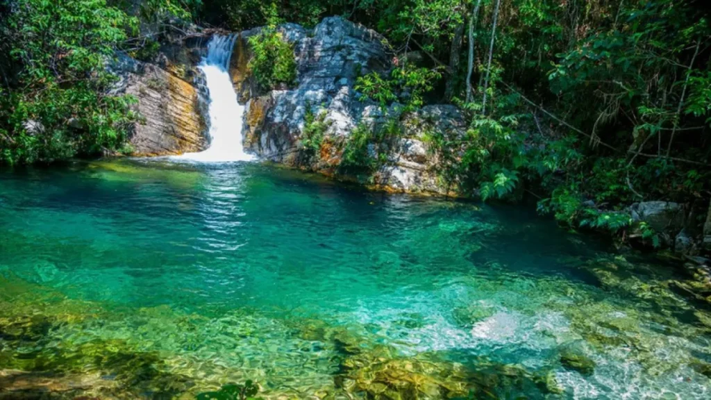 Chapada dos Veadeiros e Emas: vitrine do Cerrado