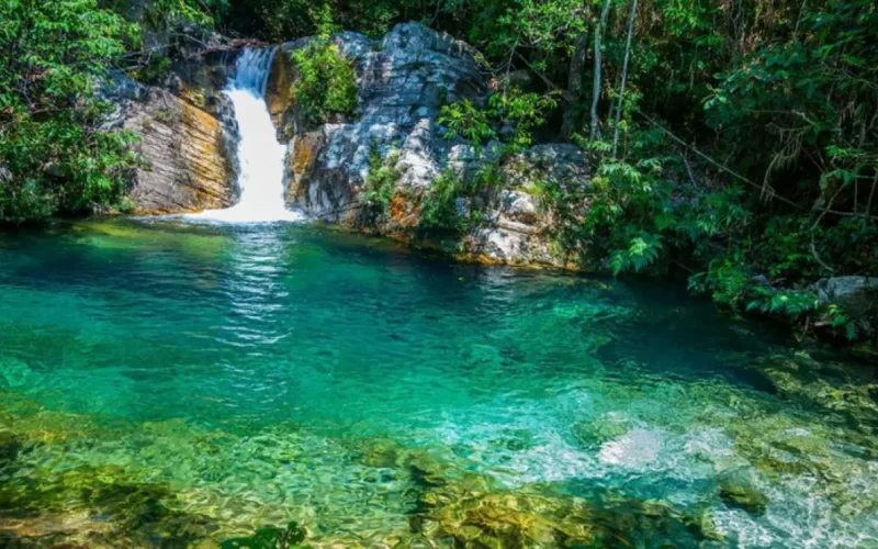 Chapada dos Veadeiros e Emas: vitrine do Cerrado