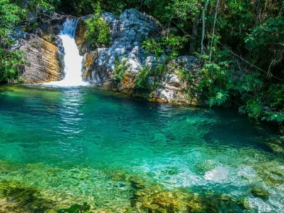 Chapada dos Veadeiros e Emas: patrimônio do Cerrado