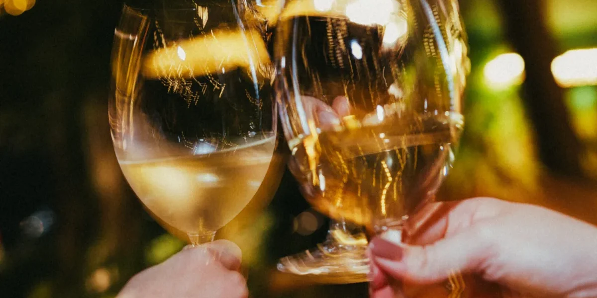 Wine Garden retoma conceito e amplia carta de vinhos
