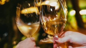 Wine Garden retoma conceito e amplia carta de vinhos