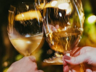 Wine Garden retoma conceito e amplia carta de vinhos