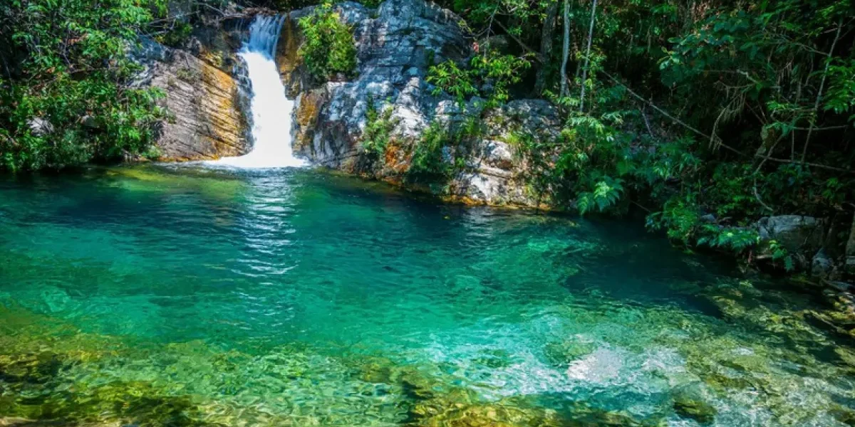 Chapada dos Veadeiros: santuário ecológico do Cerrado