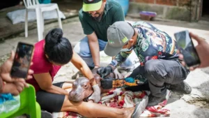 Filhote de hipopótamo de Escobar é resgatado na Colômbia