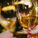 Wine Garden retoma conceito original e amplia carta de vinhos